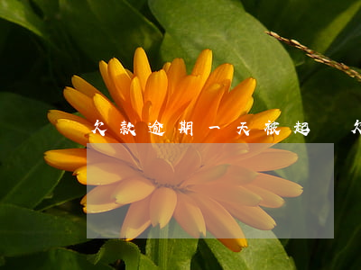 欠款逾期一天被起訴(欠款逾期一天有影響嗎)
