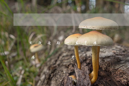 欠款逾期一直不接電話會怎么樣-逾期了不接電話會怎樣
