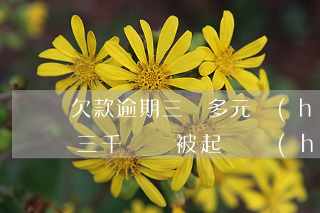 欠款逾期三萬多元會(huì)被拘留嗎(欠三千塊錢被起訴會(huì)不會(huì)拘留)
