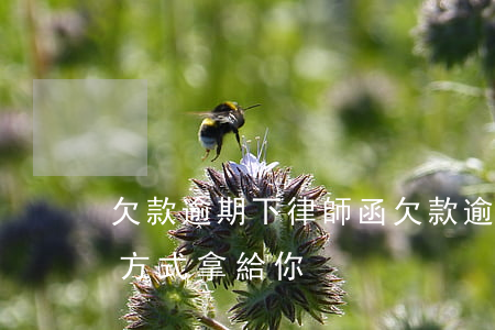欠款逾期下律師函(欠款逾期律師函是用什么方式拿給你)