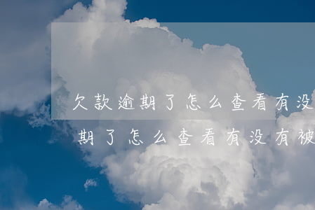欠款逾期了怎么查看有没有被起诉-欠款逾期了怎么查看有没有被起诉了