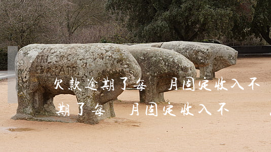 欠款逾期了每個月固定收入不夠還-欠款逾期了每個月固定收入不夠還怎么辦