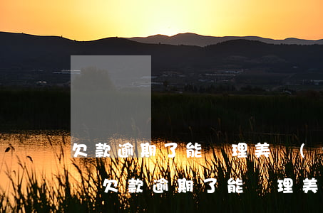 欠款逾期了能辦理美團(tuán)信用卡嗎 欠款逾期了能辦理美團(tuán)信用卡嗎嗎