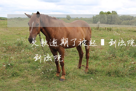 欠款逾期了被起訴到法院 欠款逾期了被起訴到法院