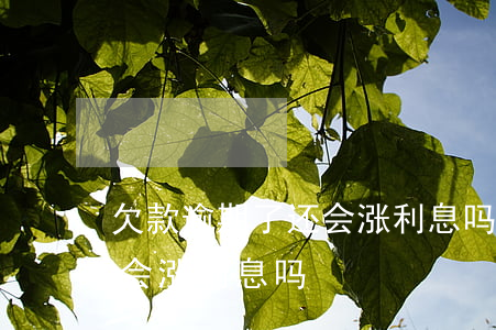 欠款逾期了还会涨利息吗知乎（欠款逾期了还会涨利息吗）