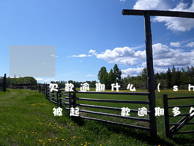 欠款逾期什么時(shí)候會(huì)被起訴(貸款逾期多久會(huì)被告)