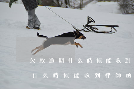 欠款逾期什么時候能收到律師函-欠款逾期什么時候能收到律師函呢