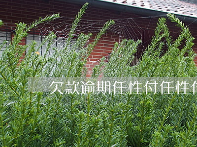 欠款逾期任性付(任性付逾期被起訴開庭案例)