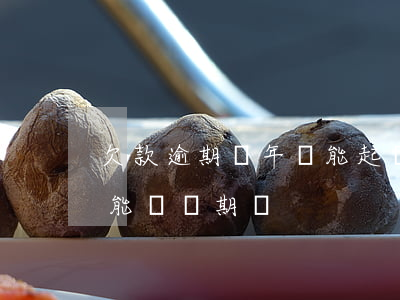 欠款逾期兩年還能起訴嗎(逾期超過兩年的還能訴訟期嗎)