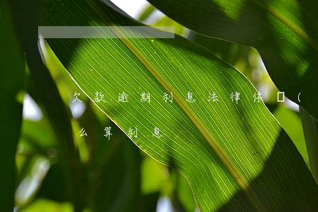 欠款逾期利息法律依據(jù)（欠錢逾期怎么算利息）
