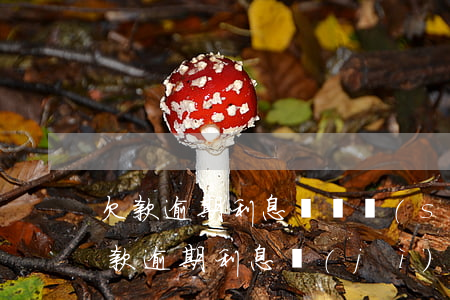 欠款逾期利息訴訟時(shí)效 訴訟中欠款逾期利息計(jì)算