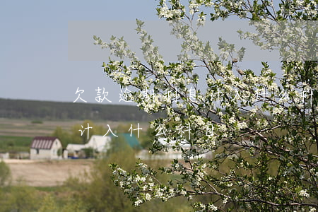 欠款逾期利息计入什么科目-银行逾期利息计入什么科目