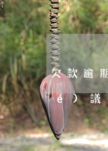 欠款逾期協(xié)議(欠款逾期協(xié)議離婚能通過嗎?)