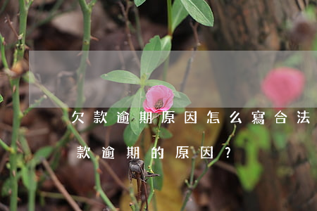 欠款逾期原因怎么寫合法，如何合法地解釋欠款逾期的原因？