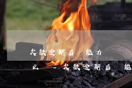 欠款逾期后無能力償還應(yīng)該怎么辦-欠款逾期后無能力償還應(yīng)該怎么辦呢