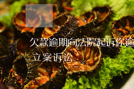 欠款逾期向法院起诉(你逾期的信用欠款已经立案诉讼)