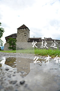 欠款逾期咋么办信用卡还款(还逾期信用卡怎么才能不还利息)
