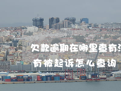 欠款逾期在哪里查有没有被上诉-逾期有没有被起诉怎么查询