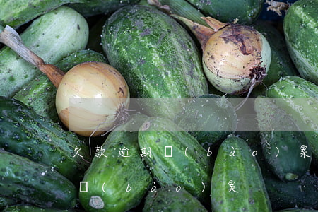 欠款逾期報(bào)案材料(拖欠貨款怎么報(bào)案)