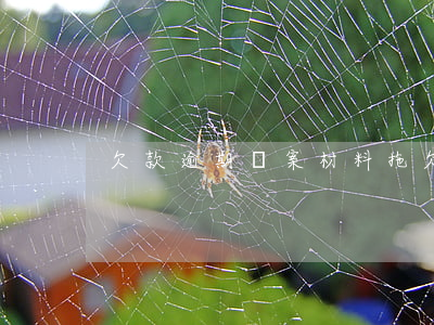 欠款逾期報案材料(拖欠貨款怎么報案)