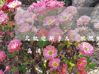 欠款逾期多久會被限制消費 逾期多久會限制高消費