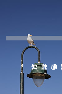 欠款逾期將 你的欠款已嚴(yán)重逾期