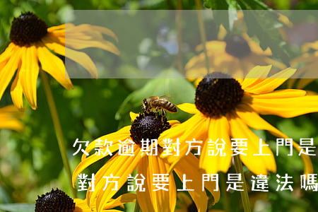 欠款逾期對方說要上門是違法嗎-欠款逾期對方說要上門是違法嗎怎么辦