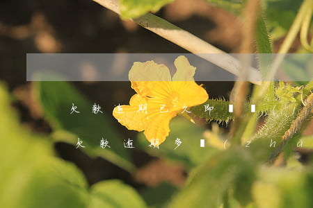 欠款逾期已久即將進(jìn)入訴訟程序(欠款逾期多長(zhǎng)時(shí)間會(huì)被起訴)
