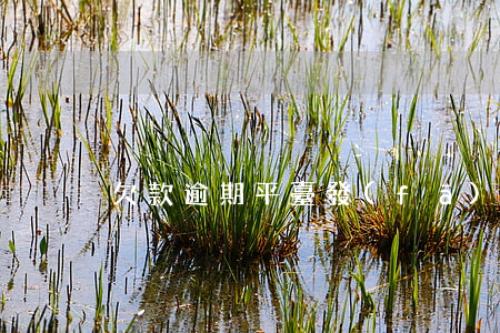 欠款逾期平臺發(fā)了法院案件訂單號