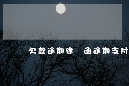 欠款逾期律師函（逾期支付租金律師函）