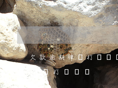 欠款逾期律師打電話給我是真的嗎-逾期律師會打電話嗎
