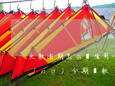 欠款逾期怎么辦信用卡分期(逾期了申請(qǐng)分期還款)