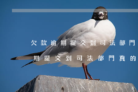 欠款逾期提交到司法部門真的假的-欠款逾期提交到司法部門真的假的怎么辦