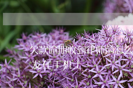 欠款逾期收到律师函怎么办（欠款逾期律师函发在手机上）