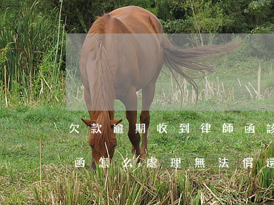 欠款逾期收到律師函該怎么辦(欠款收到律師函怎么處理無法償還)