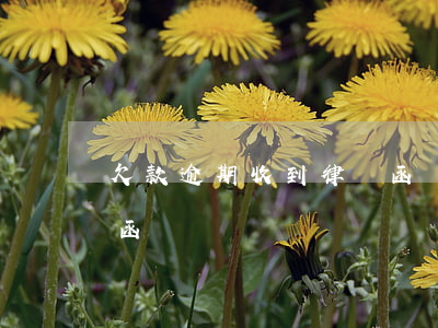 欠款逾期收到律師函該怎么辦（逾期付款律師函）