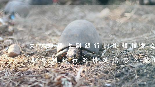 欠款逾期收到銀行的掛號信怎么辦-欠款逾期收到銀行的掛號信怎么辦理