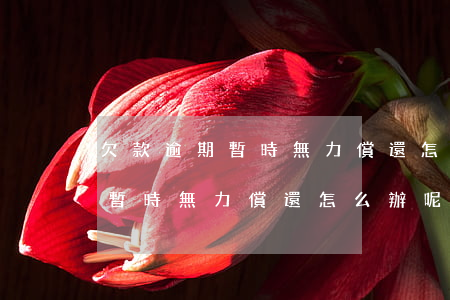 欠款逾期暫時無力償還怎么辦呢-欠款逾期暫時無力償還怎么辦呢