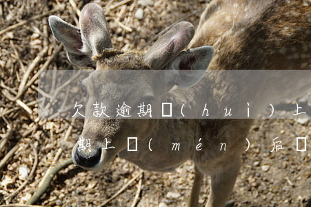 欠款逾期會(huì)上門(mén)嗎（逾期上門(mén)后會(huì)起訴嘛）