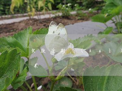 欠款逾期會(huì)被判刑嗎(欠款逾期后果)