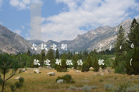 欠款逾期會凍結(jié)微信里的錢嗎?（欠款逾期微信會被凍結(jié)了怎么辦）