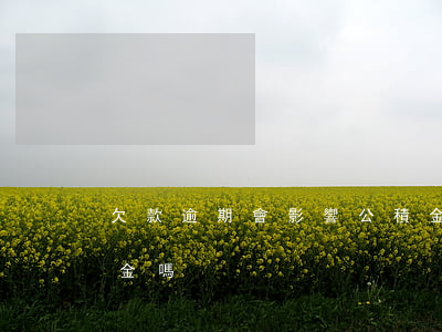 欠款逾期會影響公積金-欠款逾期影響公積金嗎