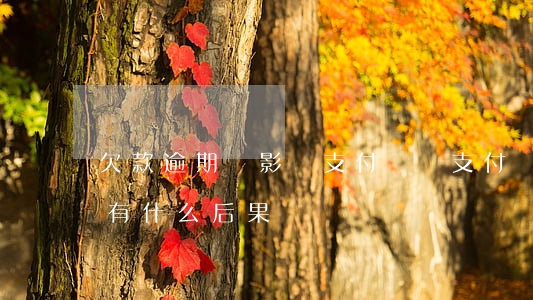 欠款逾期會影響支付寶嗎(支付寶逾期不還會有什么后果)