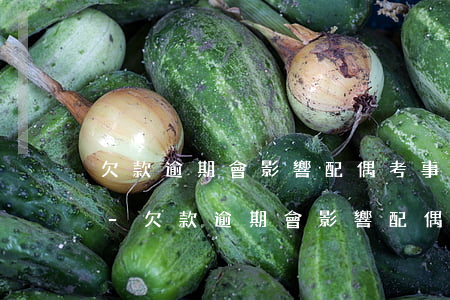 欠款逾期會影響配偶考事業(yè)單位嗎-欠款逾期會影響配偶考事業(yè)單位嗎怎么辦