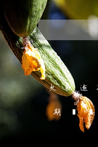 欠款逾期沒還可以買基金投資的嘛-欠款逾期沒還可以買基金投資的嘛安全嗎