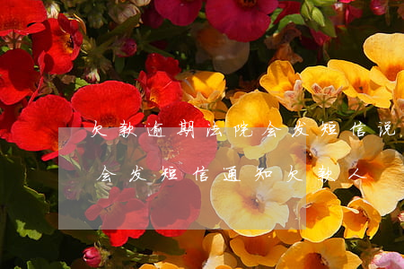 欠款逾期法院会发短信说调解吗-法院会不会发短信通知欠款人