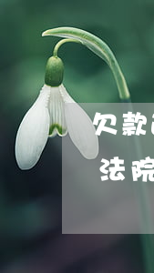 欠款逾期法院執(zhí)行怎么辦(逾期被法院執(zhí)行了怎么還)