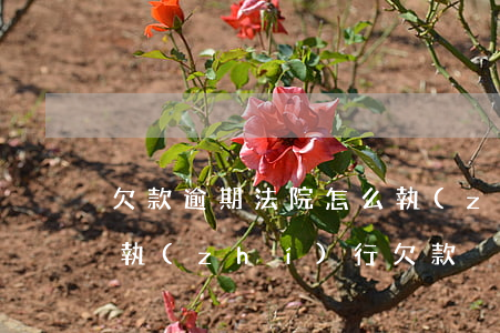 欠款逾期法院怎么執(zhí)行(法院如何執(zhí)行欠款)