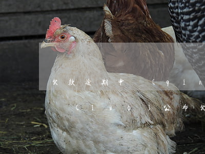 欠款逾期申請(qǐng)網(wǎng)絡(luò)公布 欠款逾期申請(qǐng)網(wǎng)絡(luò)公布是真的嗎