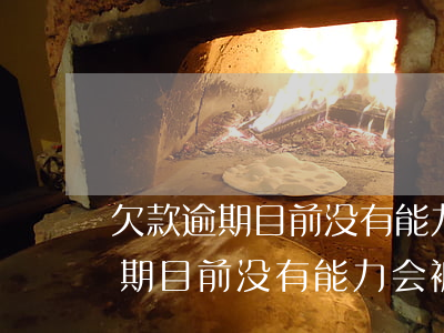 欠款逾期目前没有能力会被坐牢吗-欠款逾期目前没有能力会被坐牢吗知乎